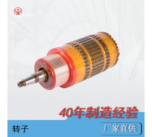 內(nèi)蒙古礦用直流牽引電機(jī)電樞